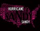Weathering Hurricane Sandy